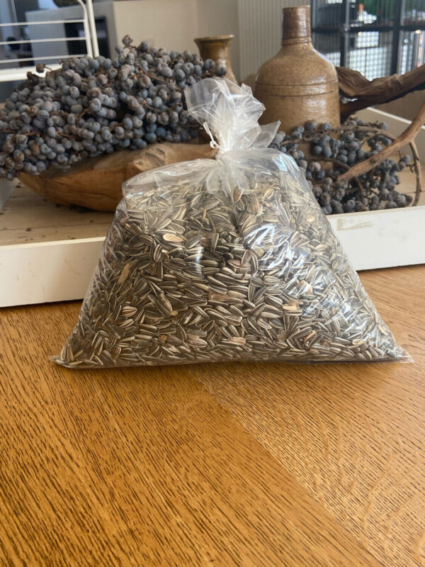 zonnebloempitten 1kg