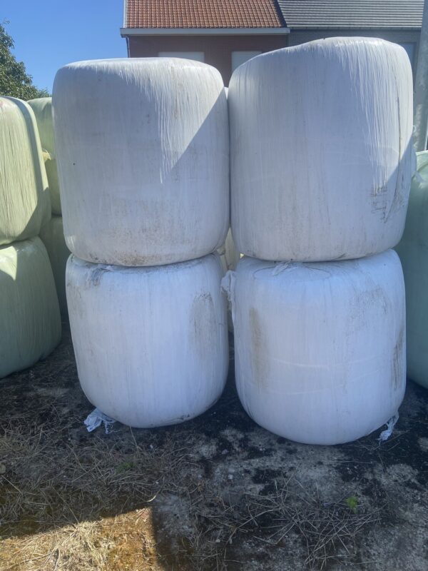 midi bol mais 350 kilo