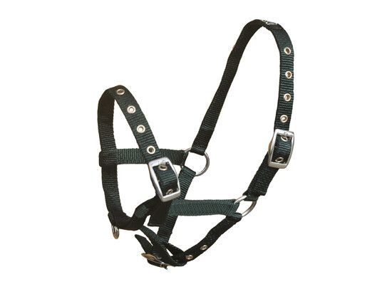 HALSTER NYLON FULL GROEN