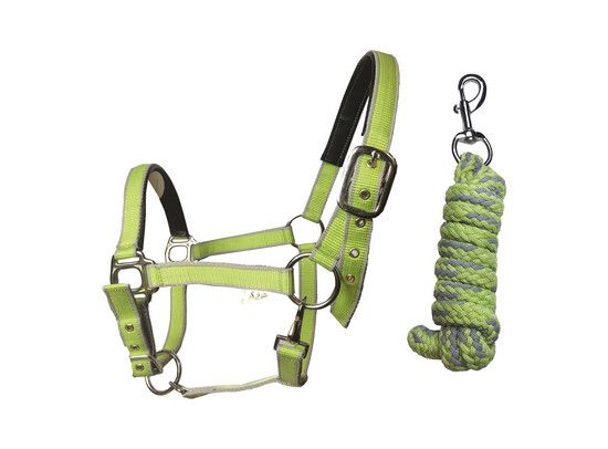 HALSTERSET EXTRA LIME MET CONTRASTBOORD PONY