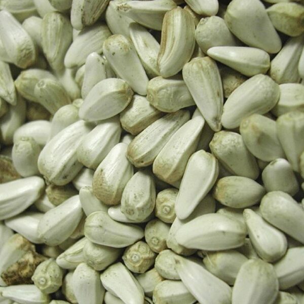 witte zonnebloempitten 3 kg