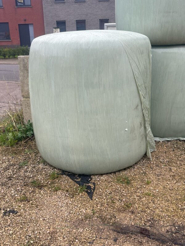 Mais 1000 kg