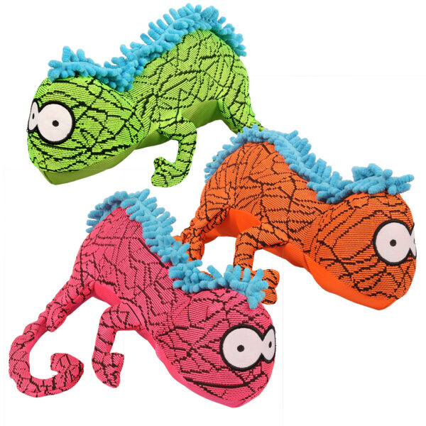 Coockoo Rango Gemengde kleuren